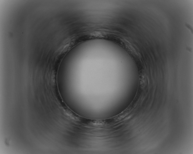 X0000091910466200709051215