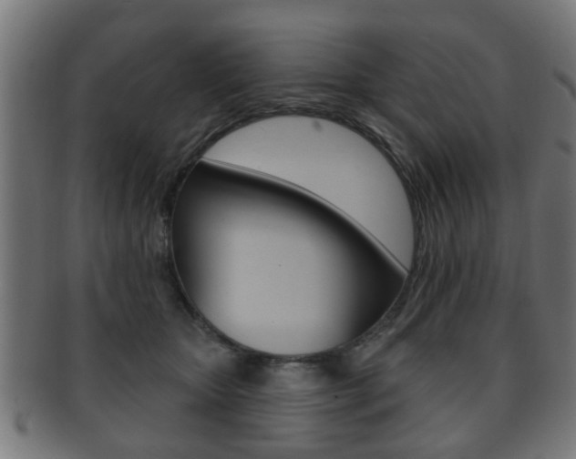 X0000091910467200709051215