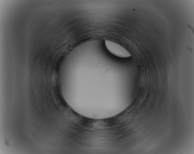 X0000091910468200709051215