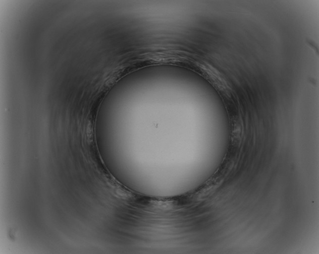 X0000091910469200709051215