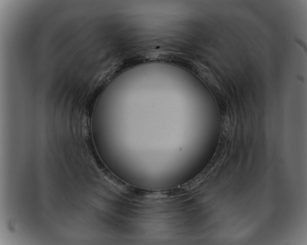 X0000091910470200709051215