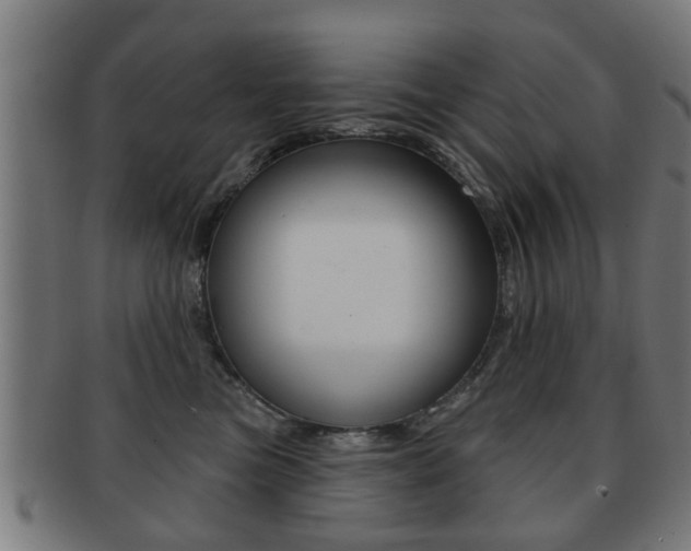 X0000091910473200709051215