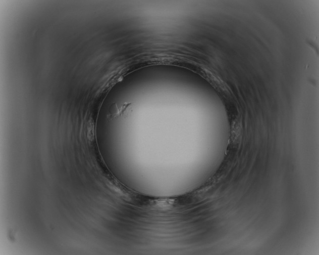 X0000091910474200709051215