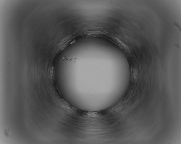X0000091910475200709051215