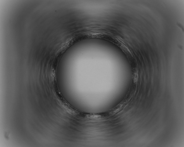 X0000091910476200709051215