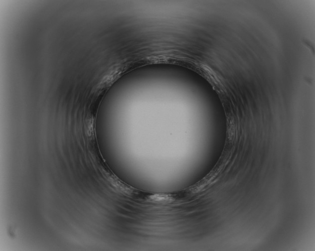 X0000091910477200709051215