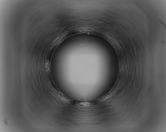 X0000091910478200709051215