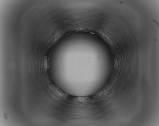 X0000091910479200709051215