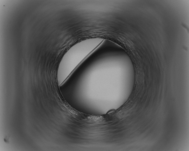 X0000091910480200709051215