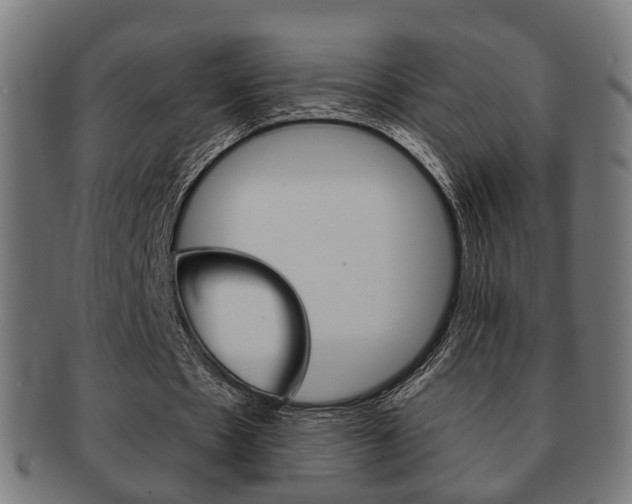 X0000091910481200709051214