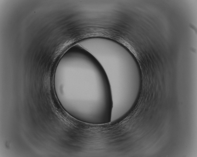 X0000091910482200709051214