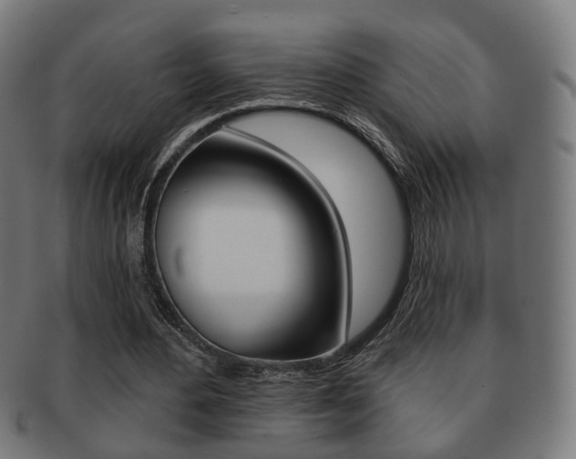 X0000091910484200709051214