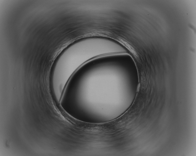X0000091910485200709051214