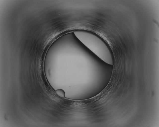X0000091910487200709051214