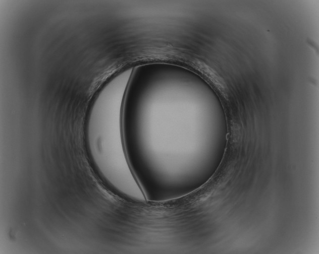 X0000091910489200709051214