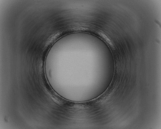 X0000091910490200709051214