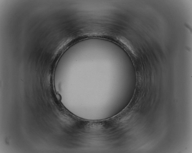 X0000091910491200709051214