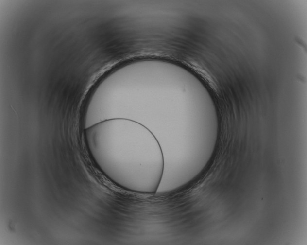 X0000091910492200709051214