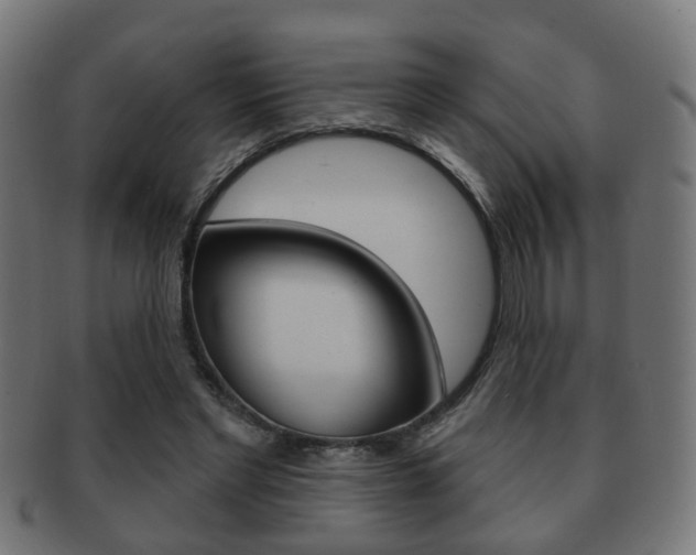 X0000091910493200709051214