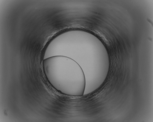 X0000091910496200709051214
