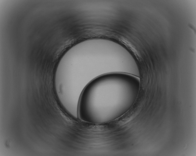 X0000091910497200709051214