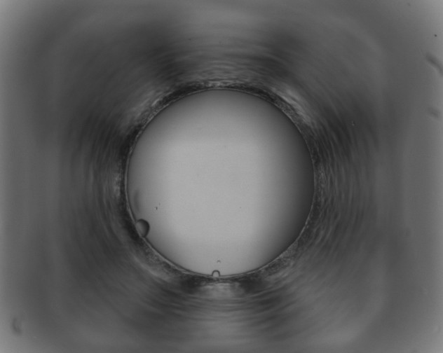 X0000091910499200709051214