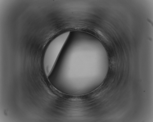 X0000091910500200709051214