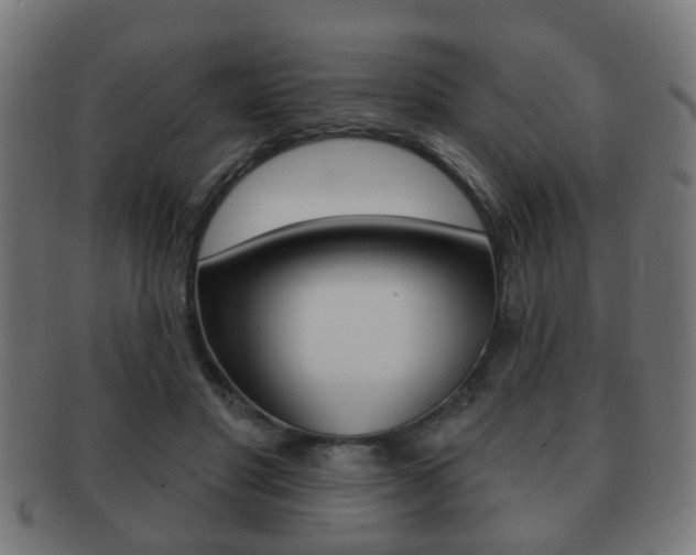 X0000091910501200709051214