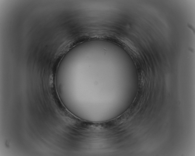 X0000091910502200709051214