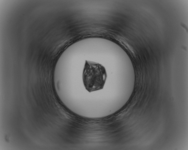 X0000091910505200709051214