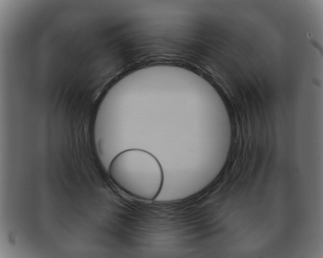 X0000091910508200709051214