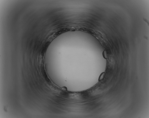 X0000091910511200709051214