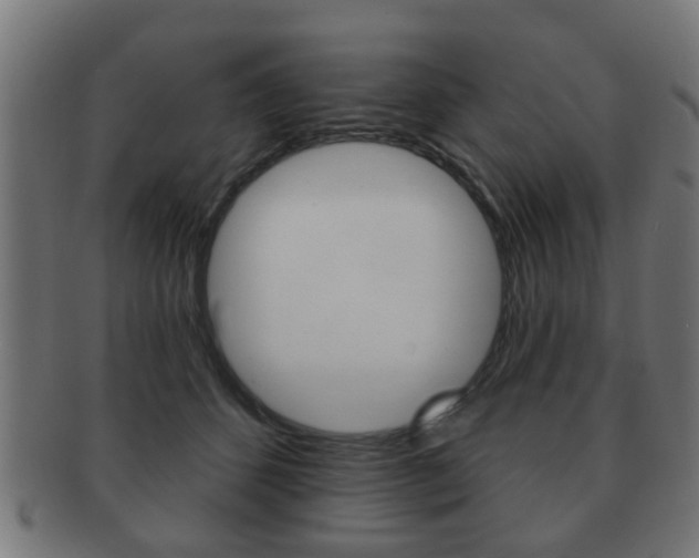X0000091910512200709051214