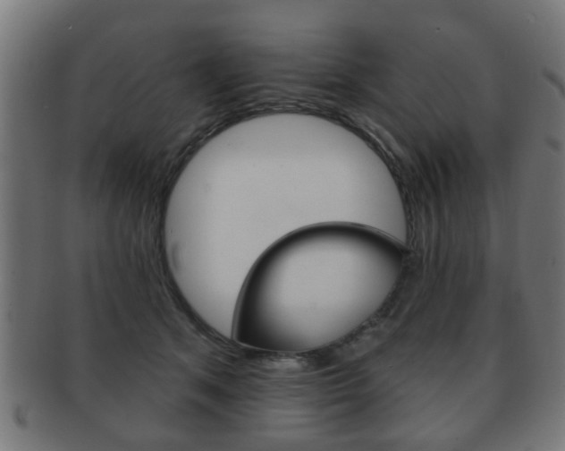 X0000091910513200709051214