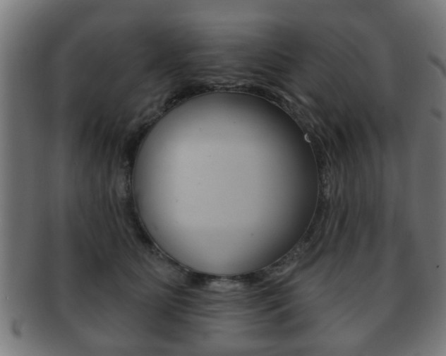 X0000091910515200709051214