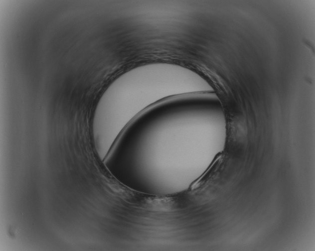 X0000091910517200709051214