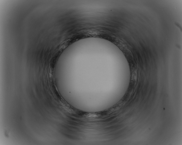 X0000091910518200709051214