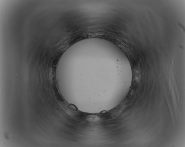 X0000091910519200709051214