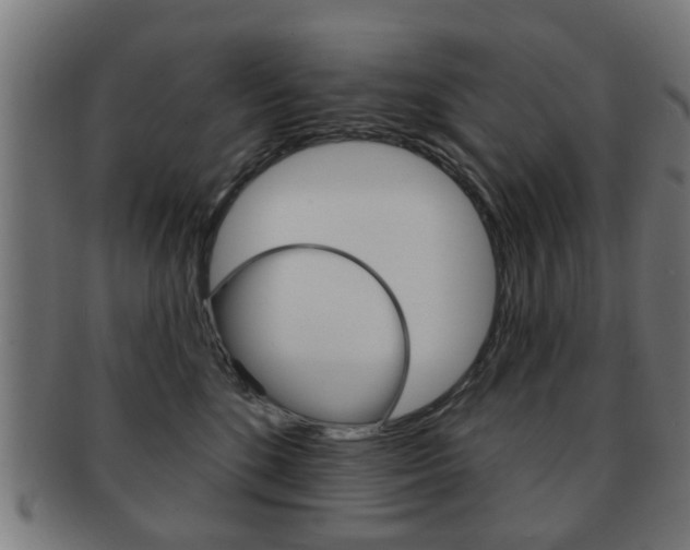 X0000091910520200709051214