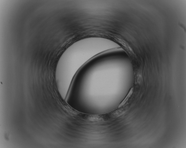 X0000091910521200709051214