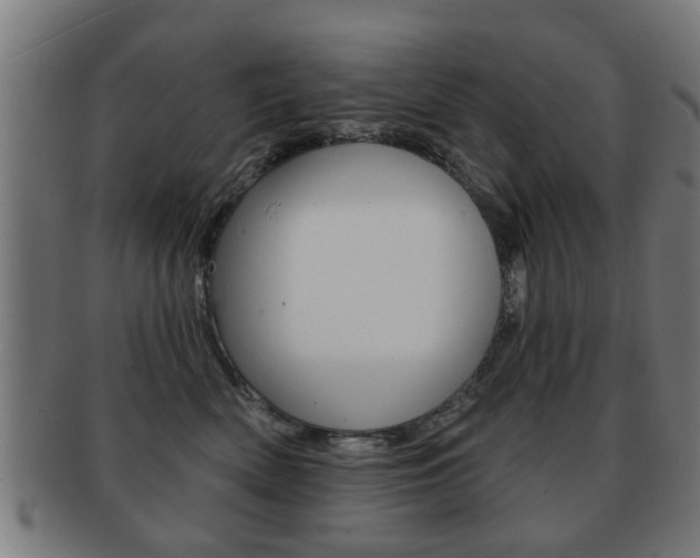 X0000091910522200709051214