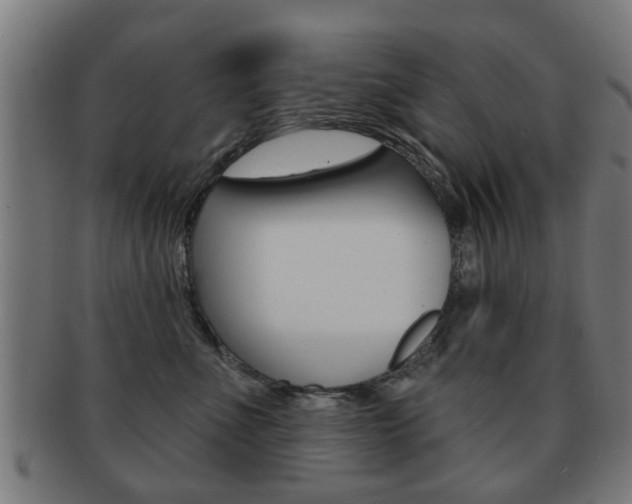 X0000091910523200709051214