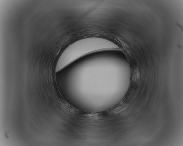 X0000091910524200709051214