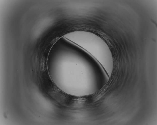 X0000091910525200709051214