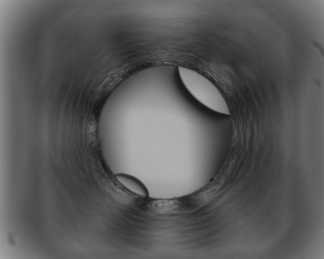 X0000091910526200709051214