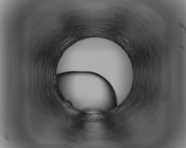 X0000091910527200709051214