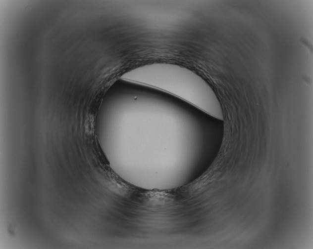 X0000091910528200709051214