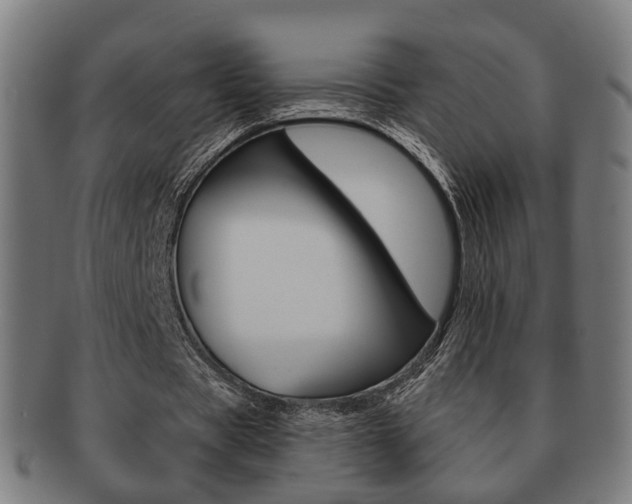 X0000091910529200709051213