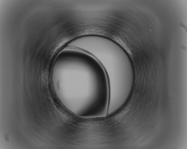X0000091910530200709051213