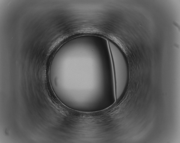 X0000091910531200709051213